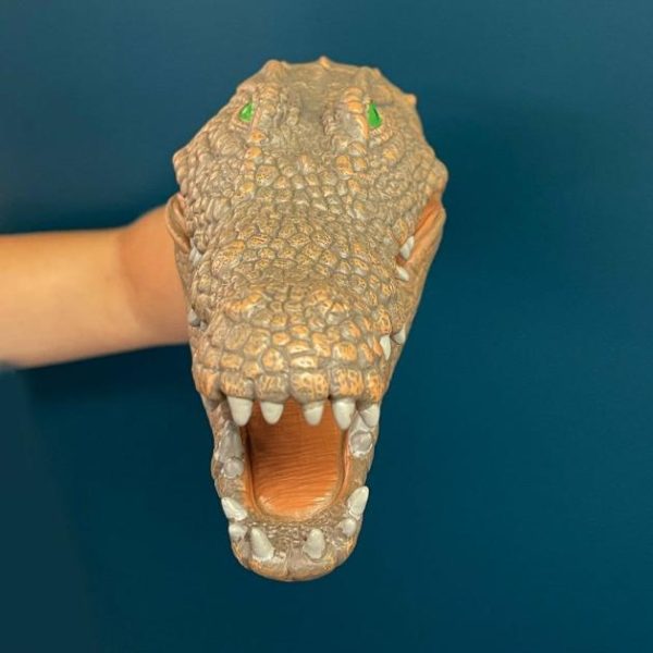 Crocodile Hand Puppet  |   Accessories Accessories Accessories