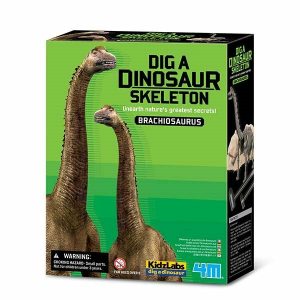 Dig A Dinosaur – Brachiosaurus  |   Stem Toys Shop Stem Toys