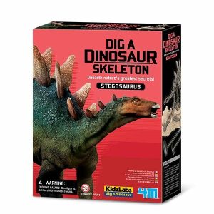 Dig A Dinosaur – Stegosaurus  |   Stem Toys Shop Stem Toys