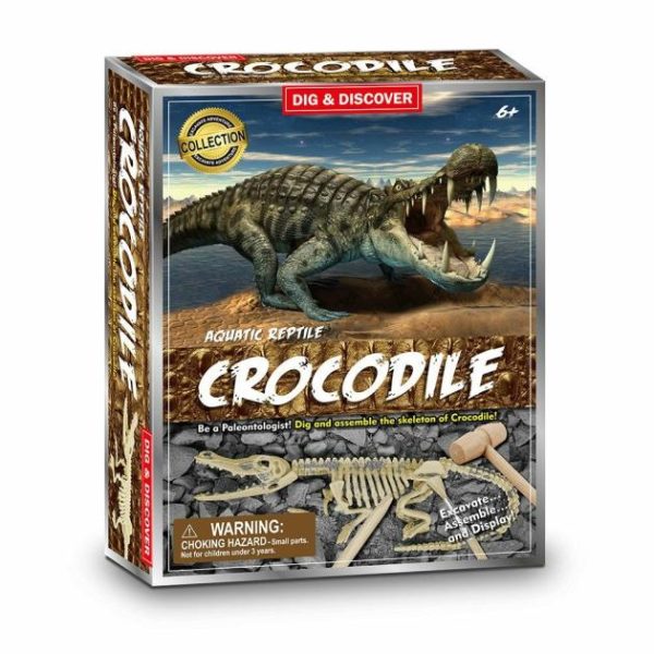 Dig Kit – Crocodile  |   Dinosaur Toys Dinosaur Toys Dinosaur Toys