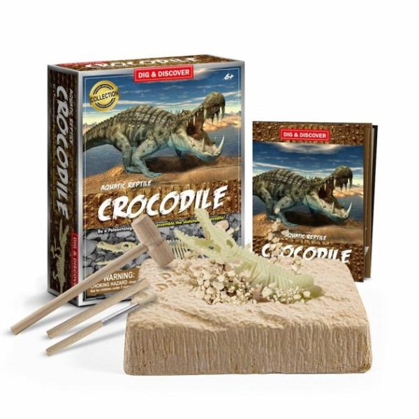 Dig Kit – Crocodile  |   Dinosaur Toys Dinosaur Toys Dinosaur Toys