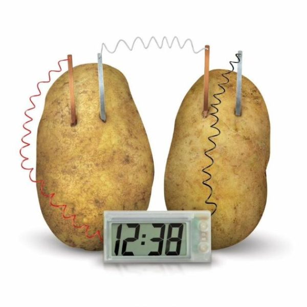 Green Science – Potato Clock  |   Stem Toys Shop Stem Toys