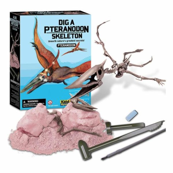 Kidzlabs – Dig A Pteranodon Skeleton  |   Educational & Learning Toys Educational & Learning Toys Educational & Learning Toys