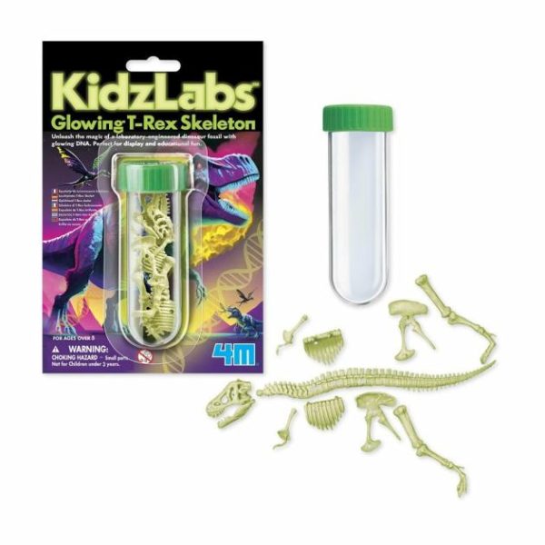 Kidzlabs – Glowing T-Rex Skeleton  |   Pocket Money Toys Pocket Money Toys Pocket Money Toys