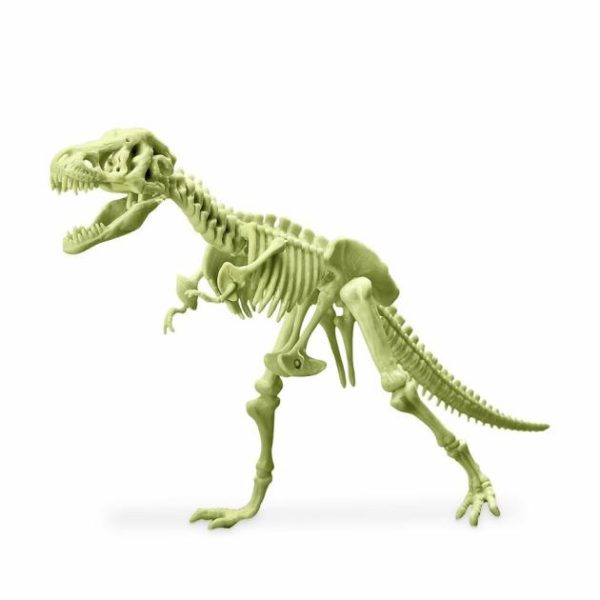 Kidzlabs – Glowing T-Rex Skeleton  |   Pocket Money Toys Pocket Money Toys Pocket Money Toys