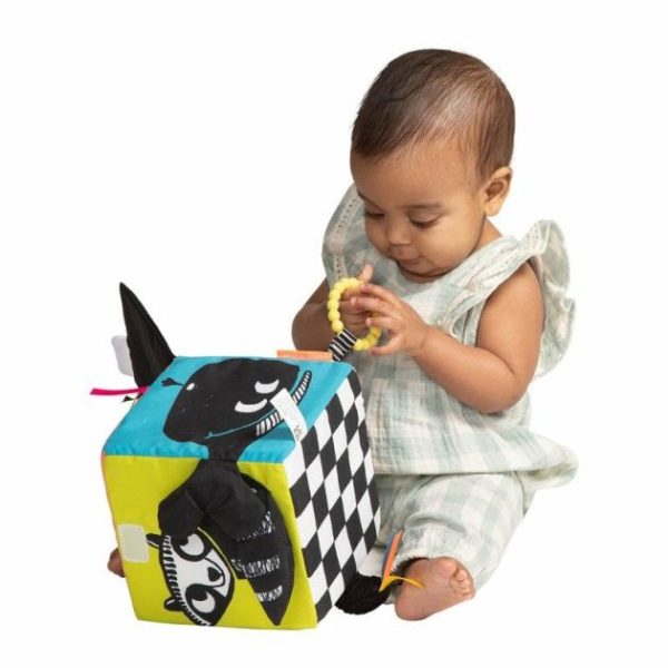 Wimmer Ferguson Learning Cube  |   Baby Toys Baby Toys Baby Toys